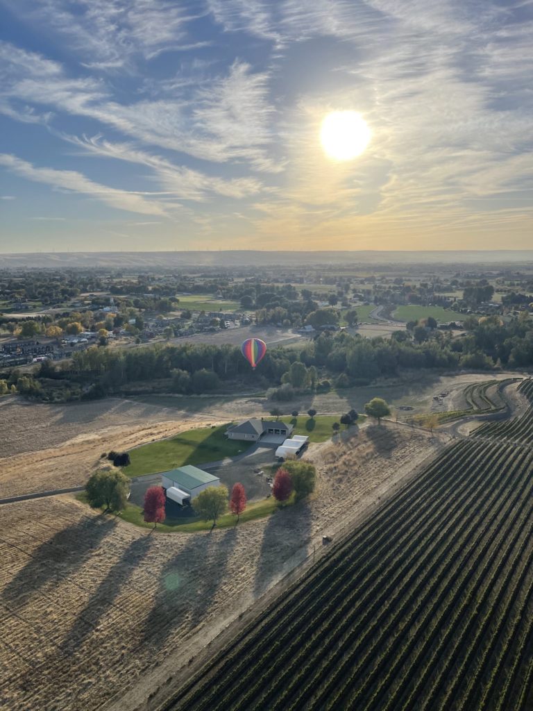 Hot air balloon over walla walla vineyards
