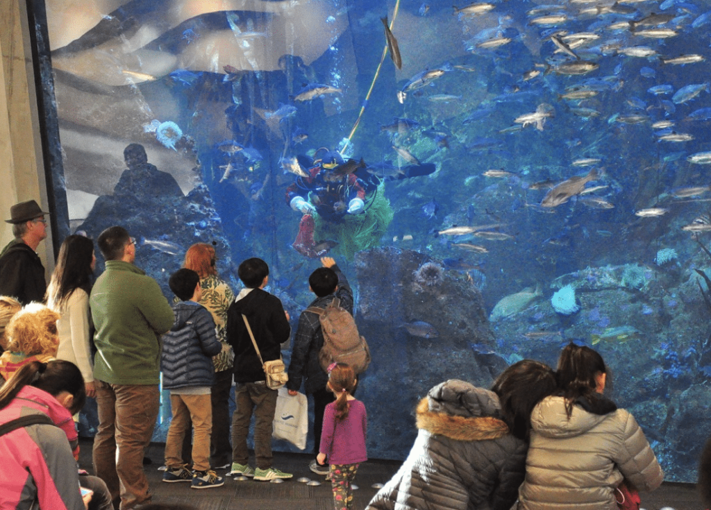 Seattle Aquarium big tank