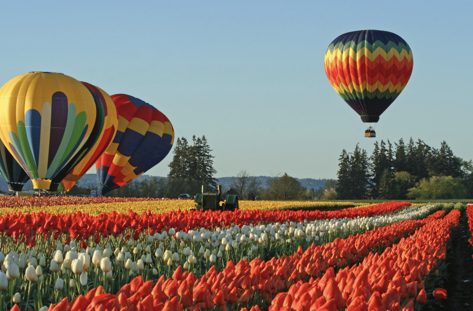 Tulip festival Seattle Hot Air Balloons