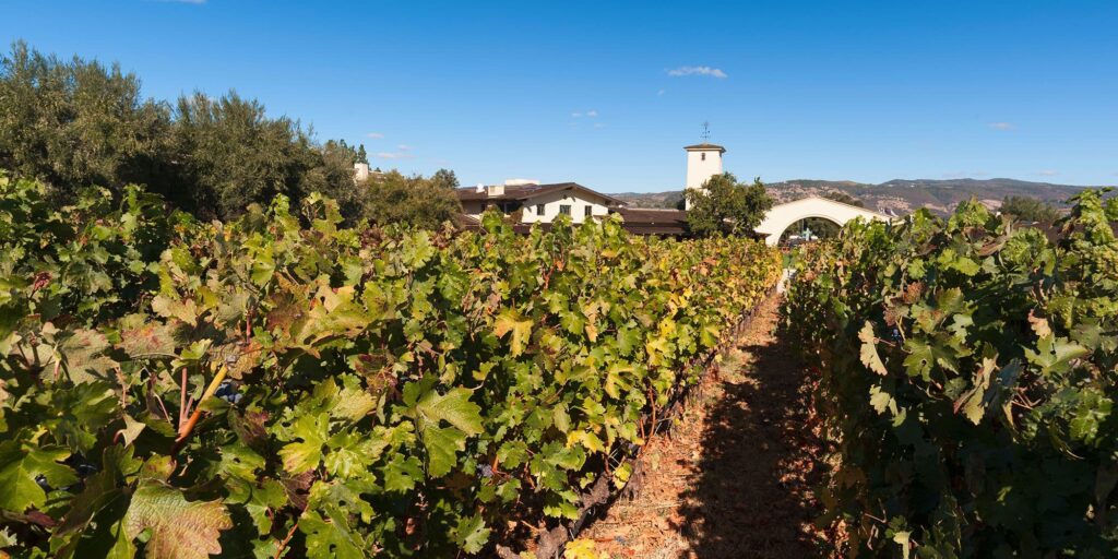 Napa Valley winery nestled in landscape
