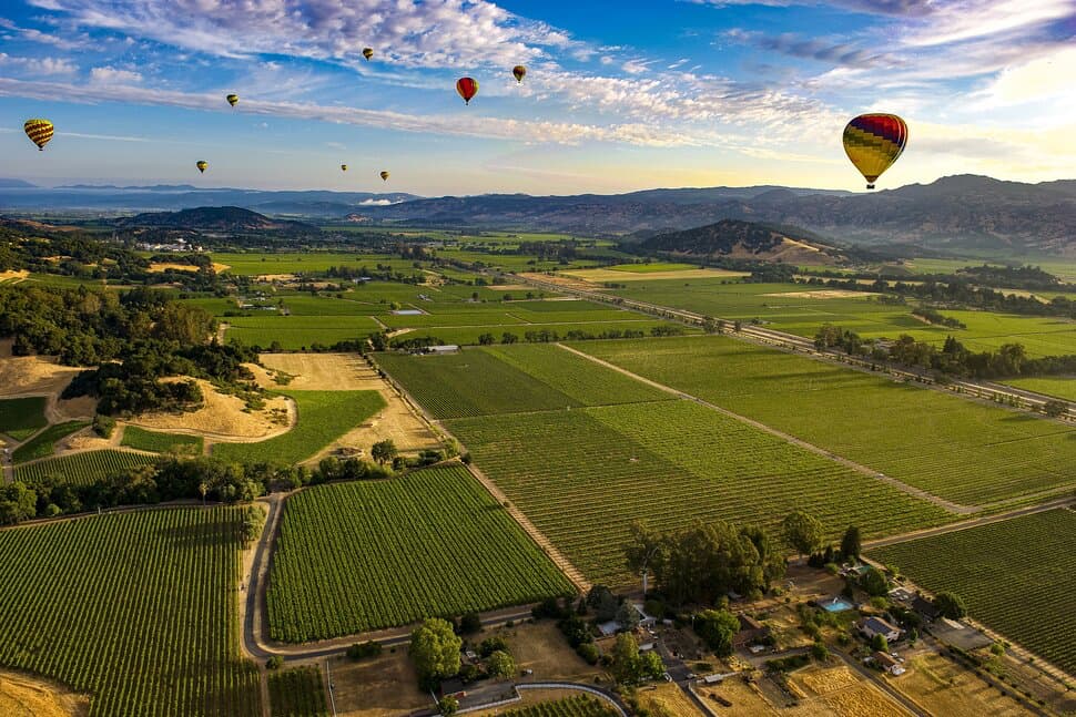 Hot air balloons floating over the napa valley.