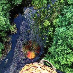 Hot air balloon reflection in a lake with lilly pads and trees