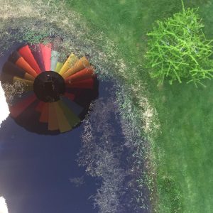 Blue, red, pink, and yellow hot air balloon reflecting in a small lake in Enumclaw Washington